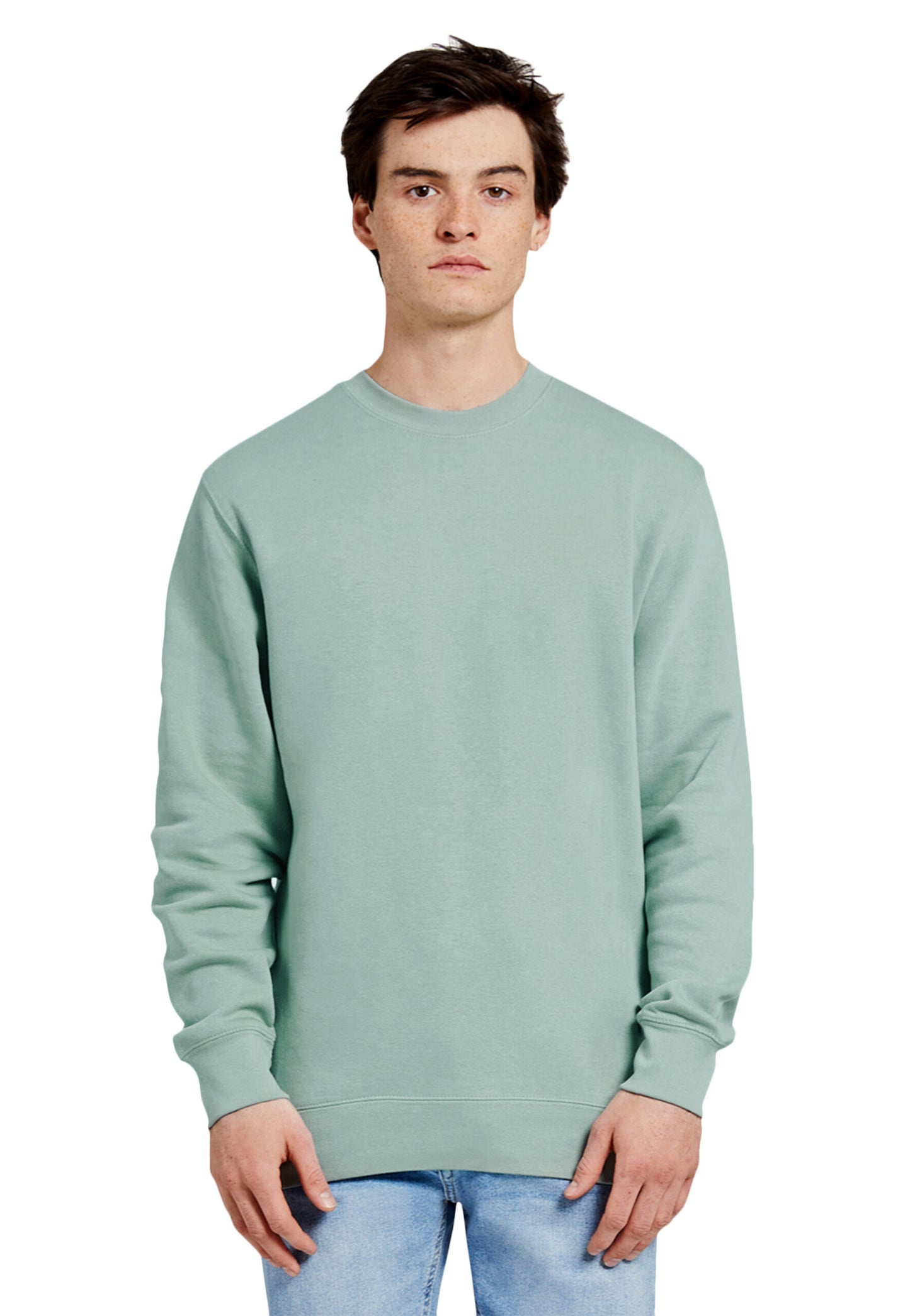 Premium Crewneck Sweatshirt