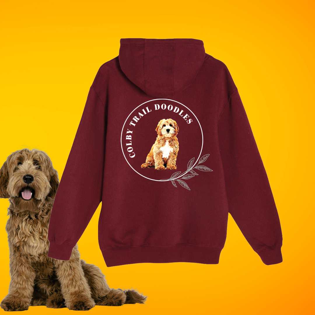 Colby Trail Doodles Premium Pullover Hoodie