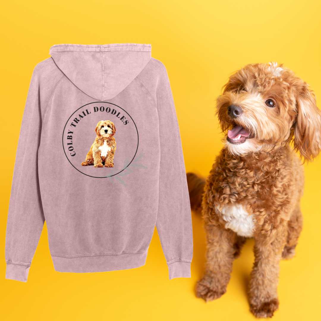 Colby Trail Doodles Vintage Raglan Hoodie