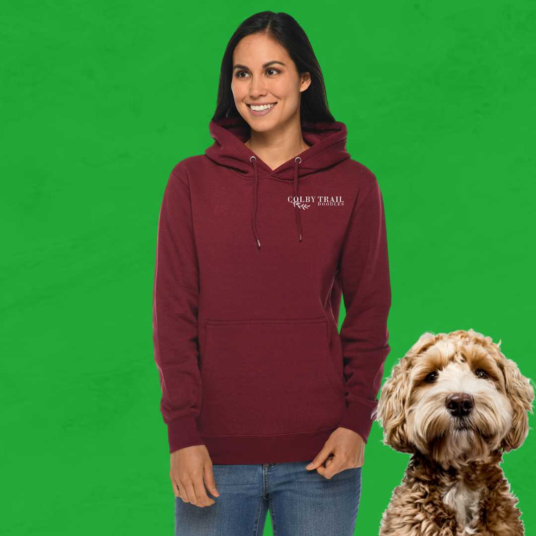 Colby Trail Doodles Premium Pullover Hoodie